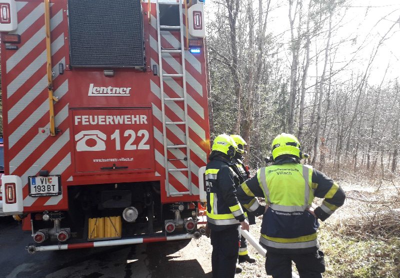 Wald-/Wiesen -brand (Bild 3)